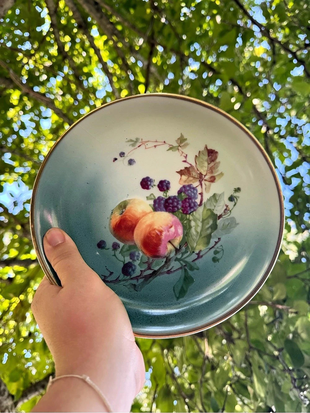 Vintage Altwassep Germany Floral Fruit Decorative Plate in Blue & White